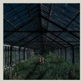 Foxing - Glass Coughs