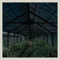 Eiffel — Foxing
