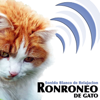 Sonido Blanco de Relajacion. Ronroneo de Gato - Nature Sound Label