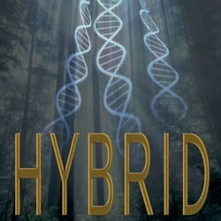 Hybrid