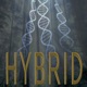 Hybrid