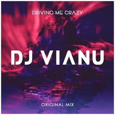 Driving Me Crazy - Single