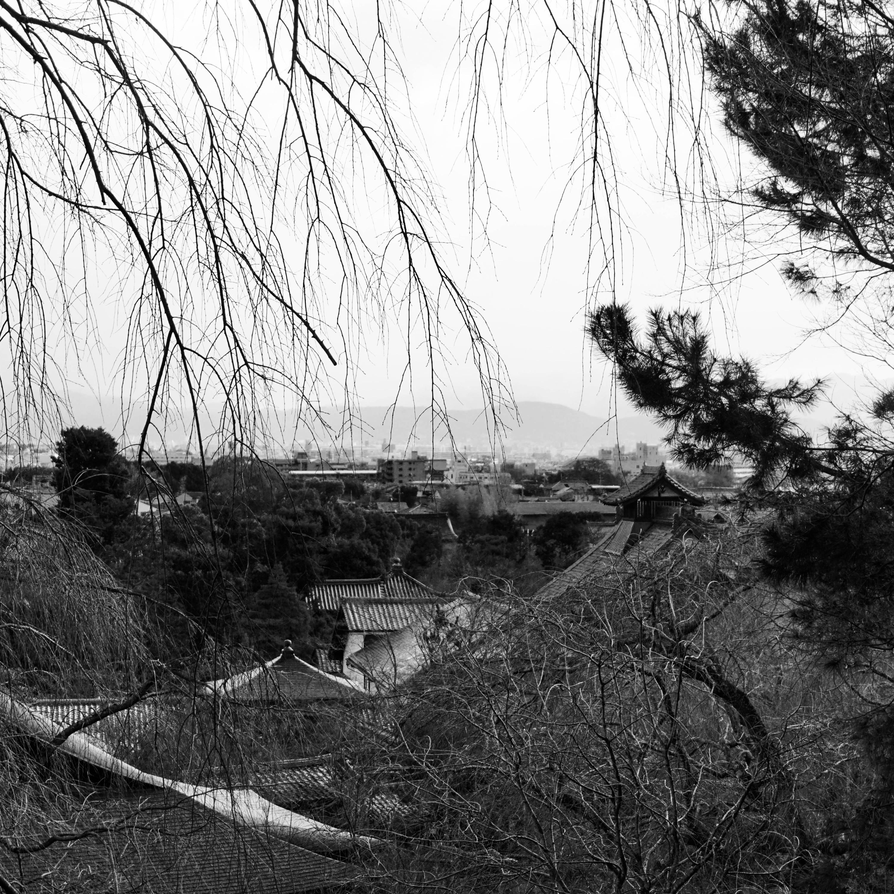 Never Should Have Left My Bed - Single