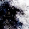 XII (XII Version) - EP