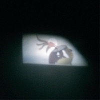 Parcel_1 - EP - drip-133