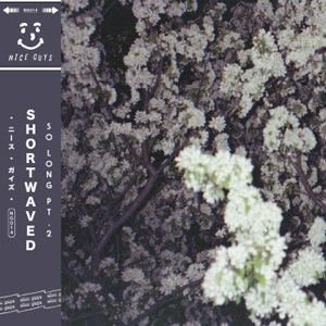 So Long, Pt. 2 - Single