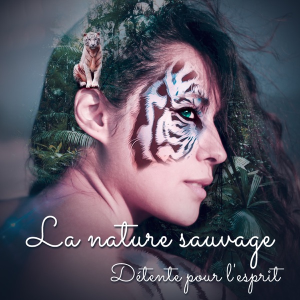 La nature sauvage: Détente pour l'esprit - Les sons de la forêt et de l'océan, voix de la jungle exotique, relaxation tropicale