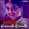 Karineela Kannulla Pennu  .