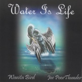 Water Is Life (Alternate) artwork