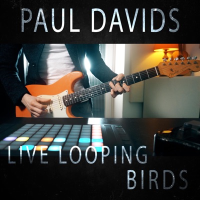 Birds (Live Looping) - Single