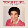 Yunus Bülbül - Bilmeden Geldim
