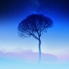 Dave Hewson - Innocent Love