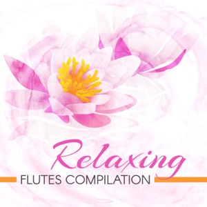 Relaxing Flutes Compilation