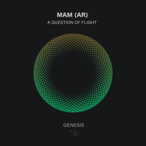 A Question of Flight - Single