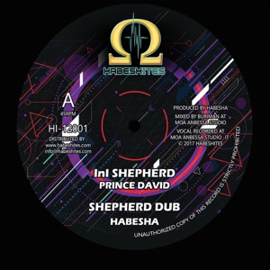 Ini Shepherd (feat. Prince David) - Single