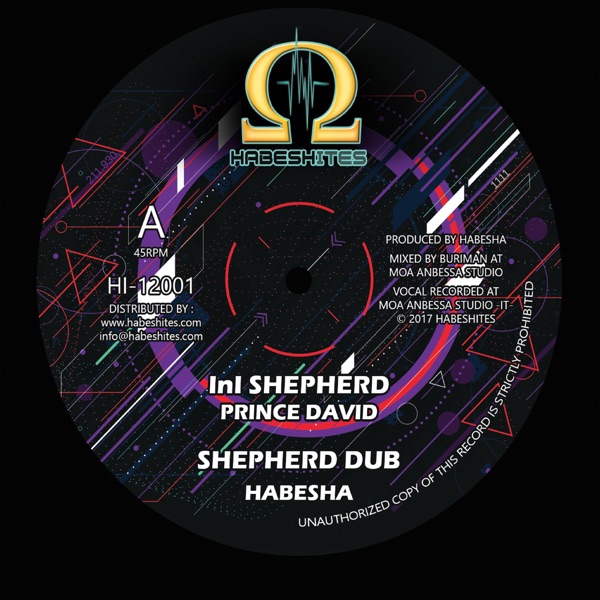 Ini Shepherd (feat. Prince David) - Single