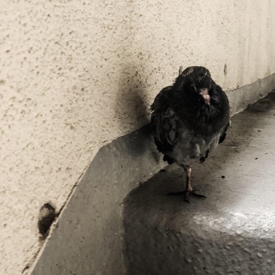 Rain and Other Sad Stuff - Single