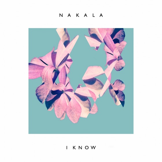Cover artwork for I Know