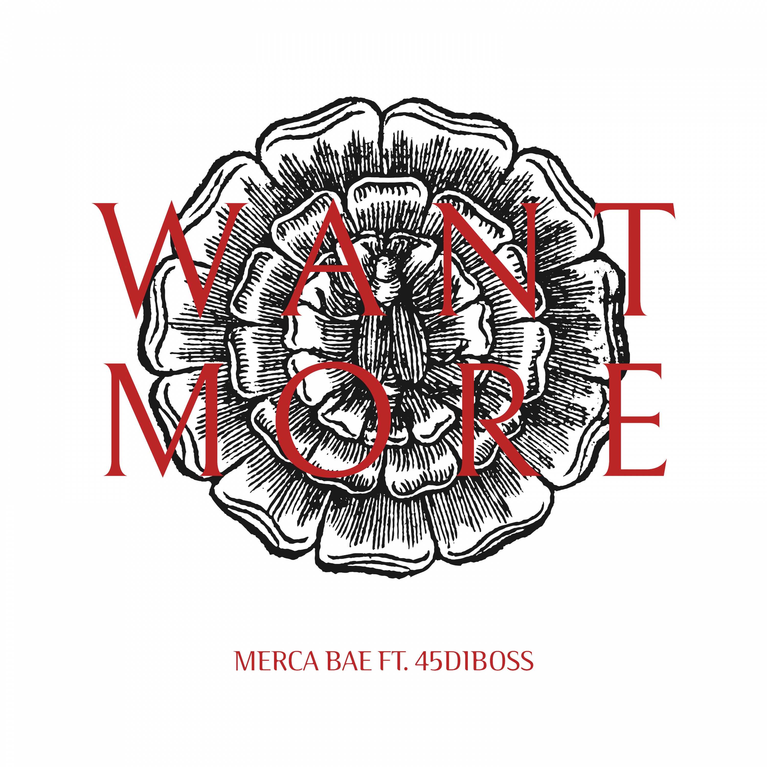 Want More (feat. 45Diboss) - Single