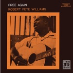 Robert Pete Williams - A Thousand Miles from Nowhere