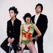 Yeah Yeah Yeahs - Y Control