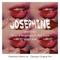 Josephine (feat. Marc Evans) - Antonello Ferrari & Aldo Bergamasco lyrics
