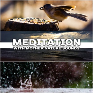 Meditation with Mother Nature Sounds: The Best Soothing, Healing & Relaxing Music for Stress Relief, Massage & Yoga Class