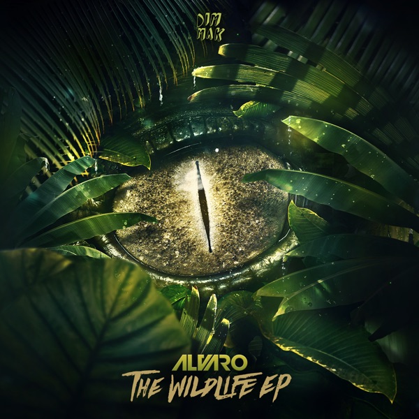 The Wildlife - Single