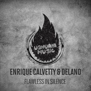 Flawless In Silence - Single