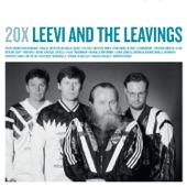 20X Leevi and the Leavings artwork