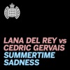 SUMMERTIME SADNESS