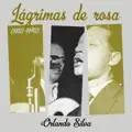 Orlando Silva