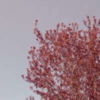 002 - Single - Hakaisu