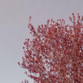 Untold Love (feat. Dummy Feelings) Hakaisu