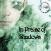In Praise of Shadows
