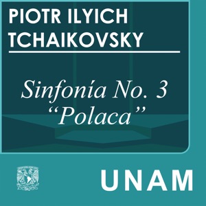 Sinfonía No. 3 "Polaca". 5o movimiento
