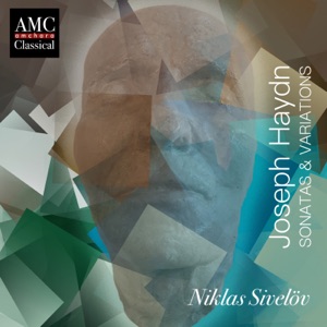 Haydn: Sonatas & Variations
