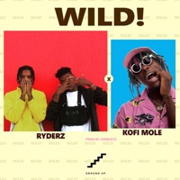 Wild! - Single - Ryderz