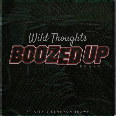 Wild Thoughts (Remix) [feat. Aisa & Kennyon Brown] - Single