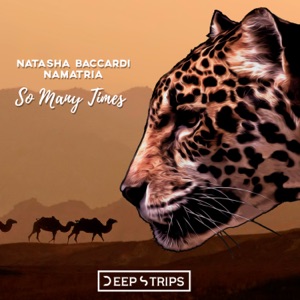 So Many Times - Single