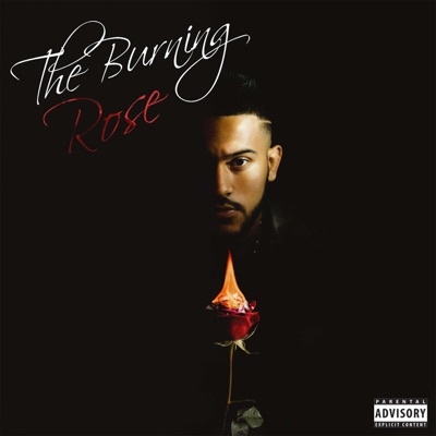The Burning Rose