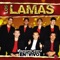 Soñando Contigo - Los Lamas lyrics