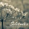 Solitudes - Sad Music Songs Piano lyrics