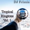 Big Sky (Ring Edit) - DJ Felaxia lyrics