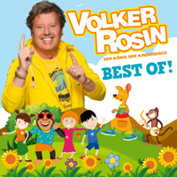 Volker Rosin - Best Of! artwork
