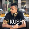 DJ Kushy - Dilliwali Girlfriend