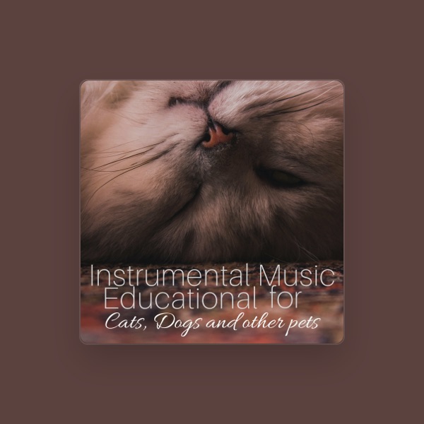 Cat Friends Care's avatar