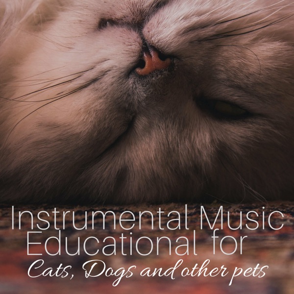Instrumental Music Educational for Cats, Dogs and Other Pets