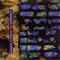 People Of The Universe - C.J. Bolland lyrics