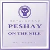 Peshay - On The Nile (2017 Remaster)
